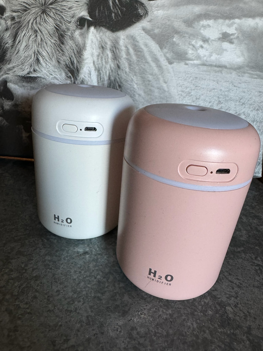 MINI HUMIDIFIER